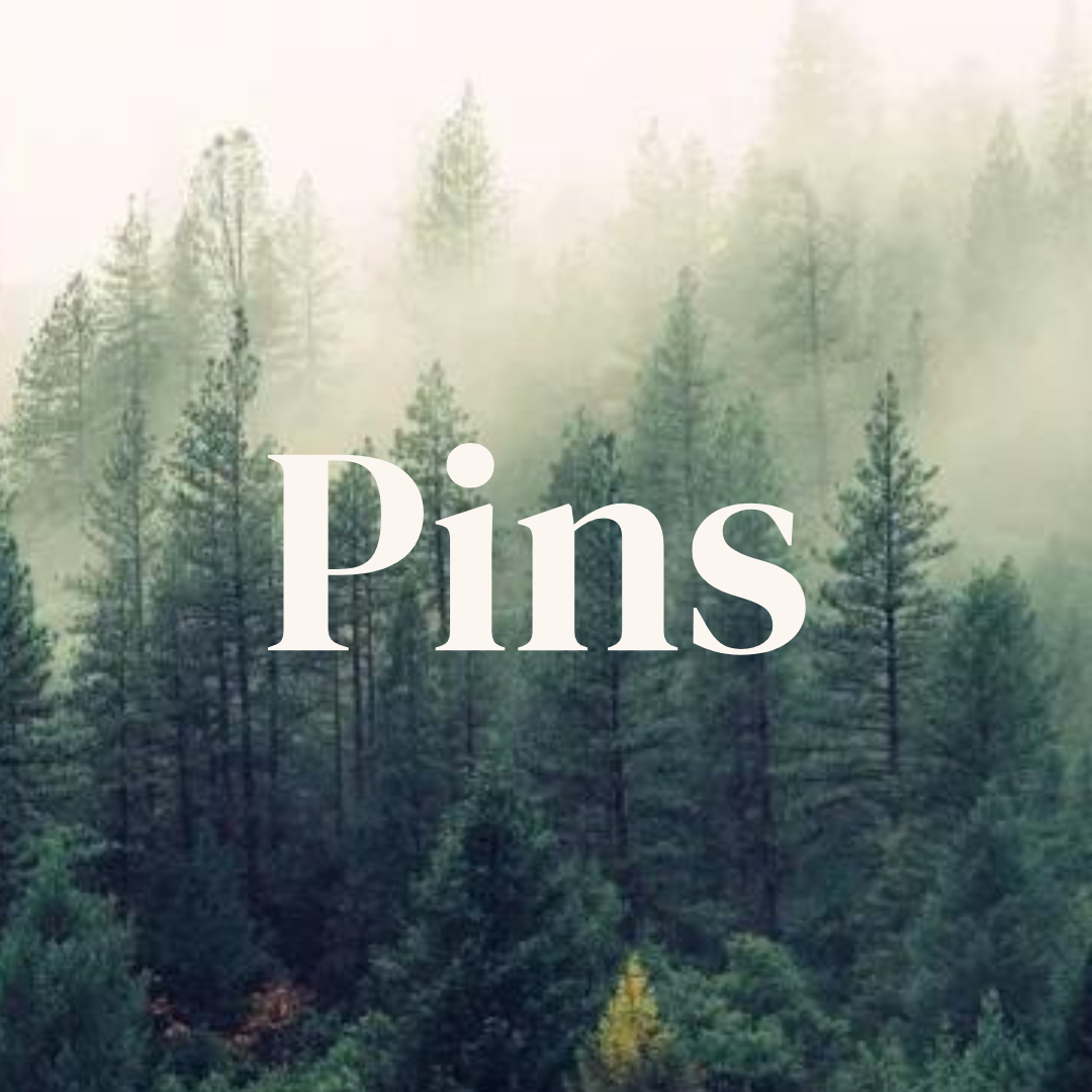 Pins