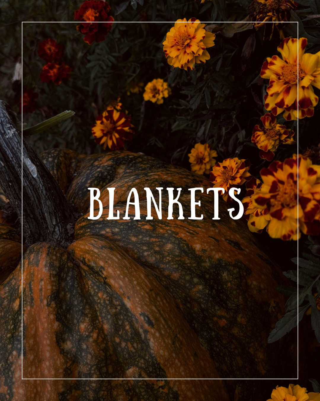 Blankets